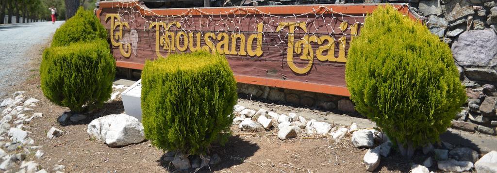 Morgan Hill Camping Resort Cabin 1 San Martin Bagian luar foto